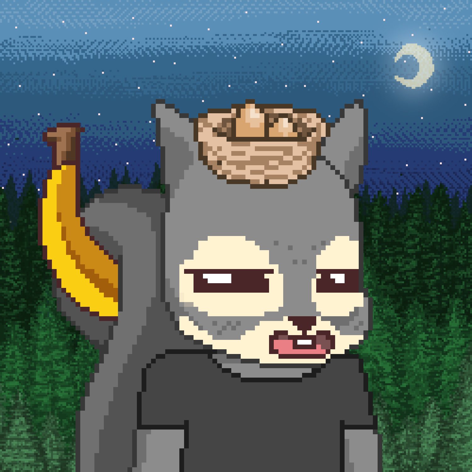 Pixel Squirrels #6562 NFT on Algorand