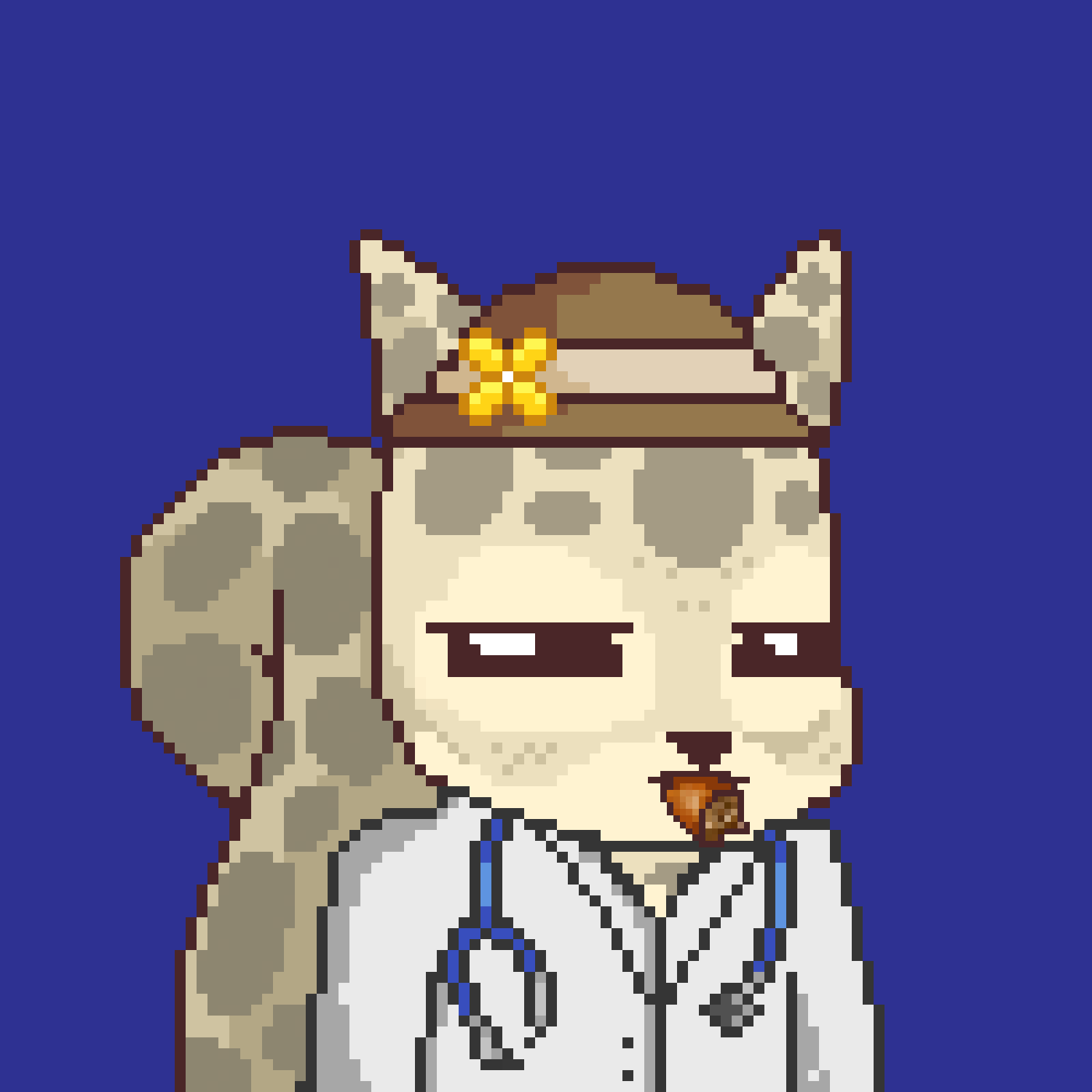 Pixel Squirrels #6681 NFT on Algorand