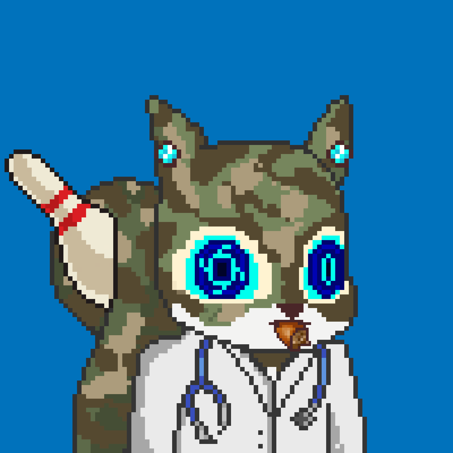 Pixel Squirrels #67 NFT on Algorand