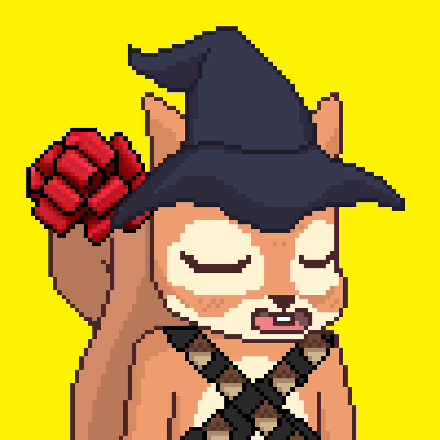 Pixel Squirrels #6837 NFT on Algorand