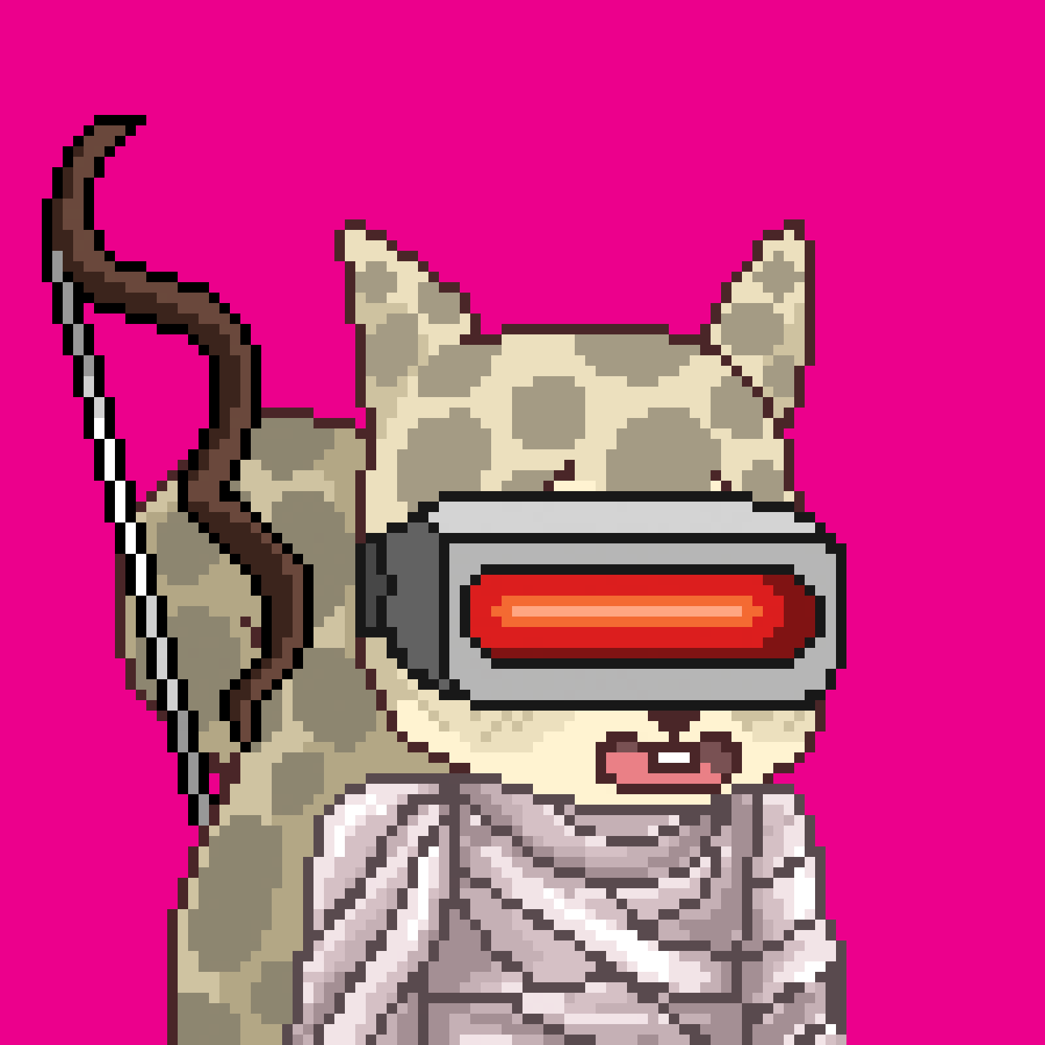 Pixel Squirrels #721 NFT on Algorand