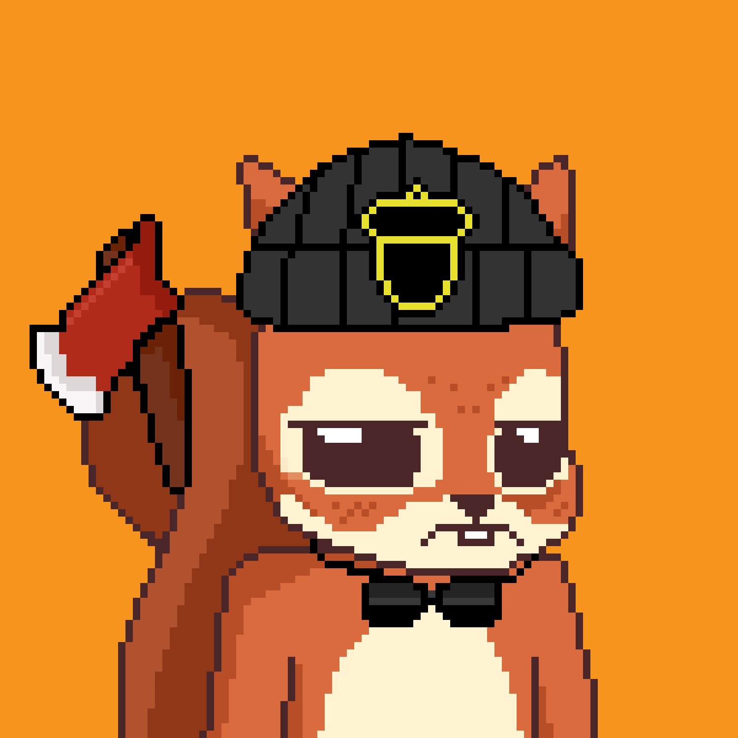 Pixel Squirrels #7217 NFT on Algorand