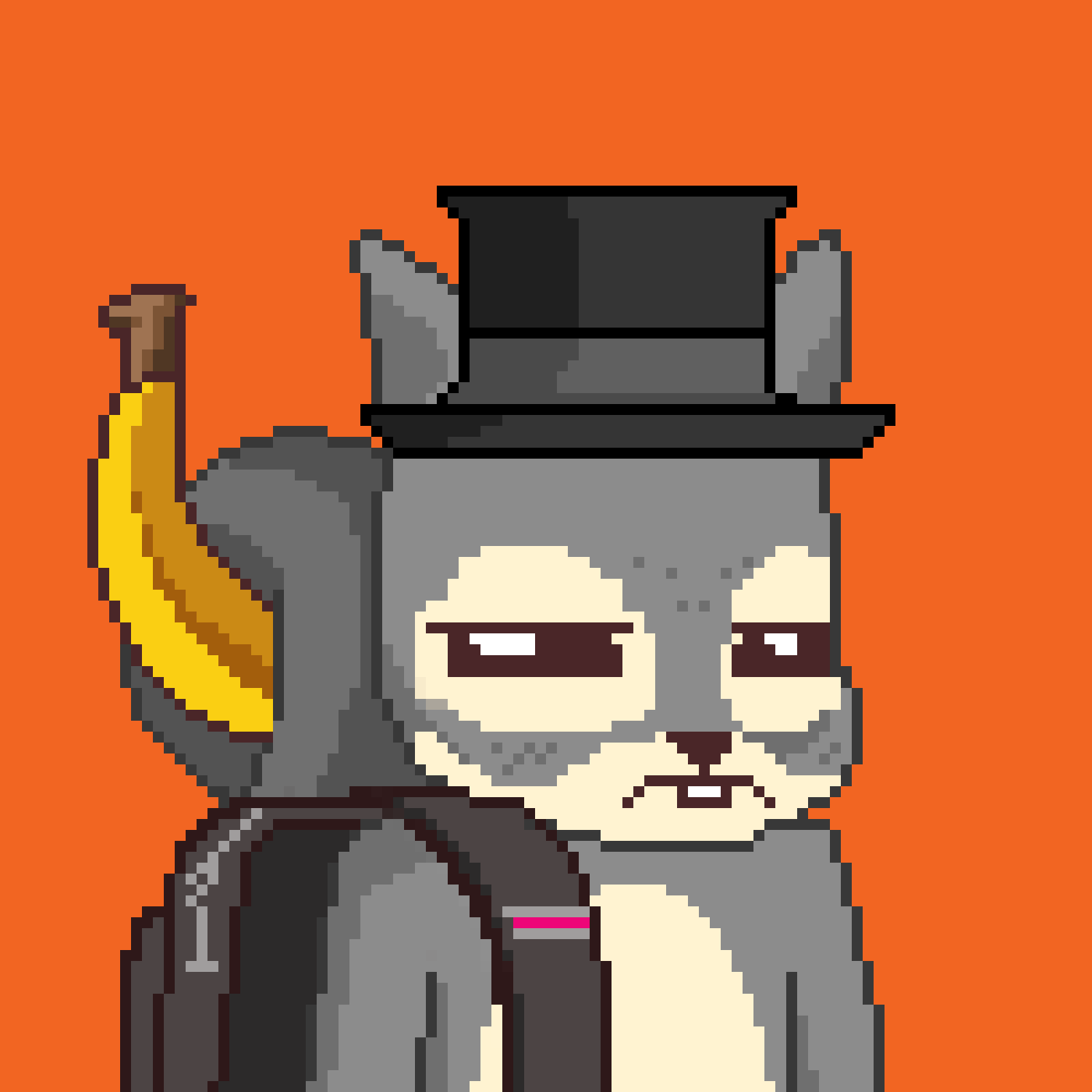 Pixel Squirrels #7699 NFT on Algorand