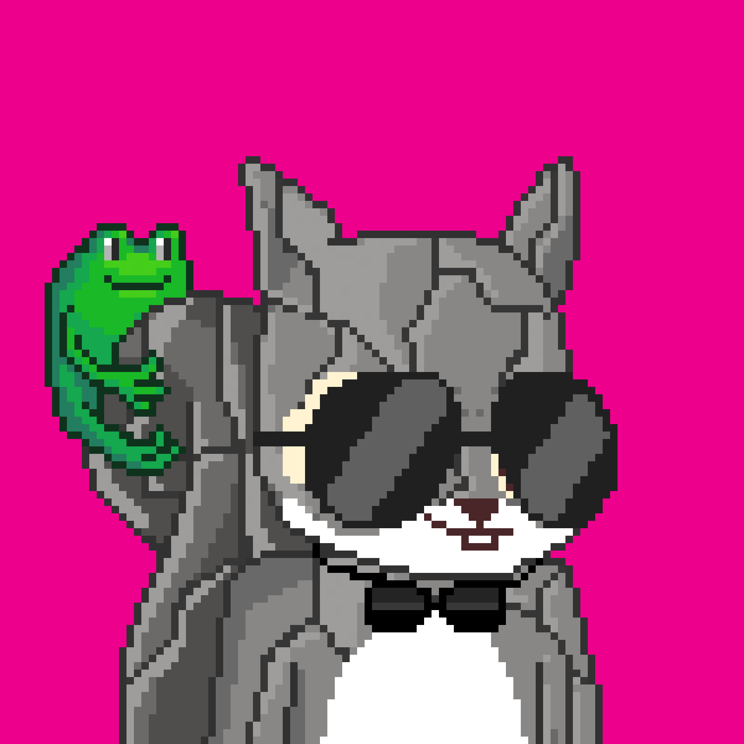 Pixel Squirrels #7781 NFT on Algorand