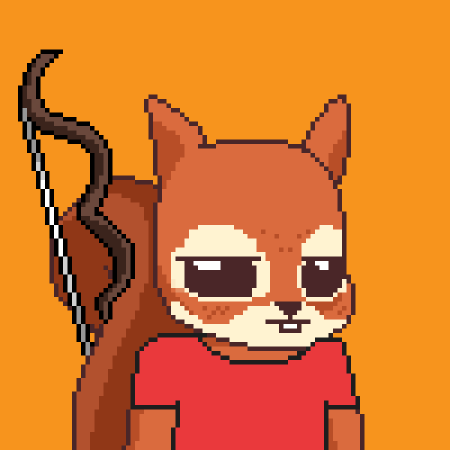 Pixel Squirrels #785 NFT on Algorand