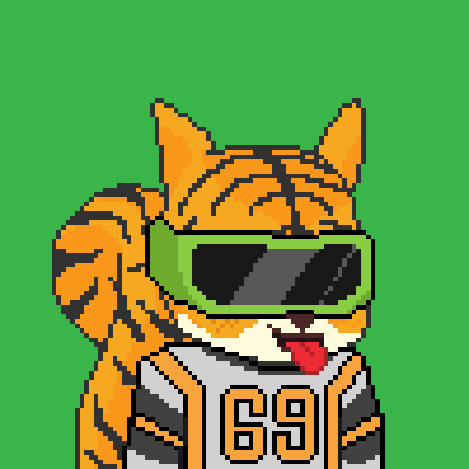 Pixel Squirrels #8080 NFT on Algorand