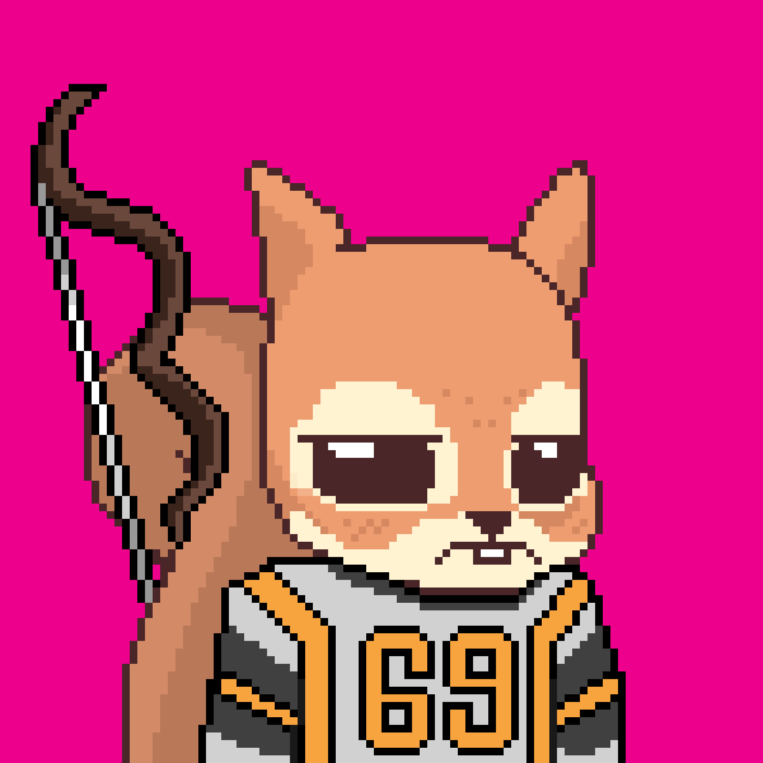 Pixel Squirrels #81 NFT on Algorand