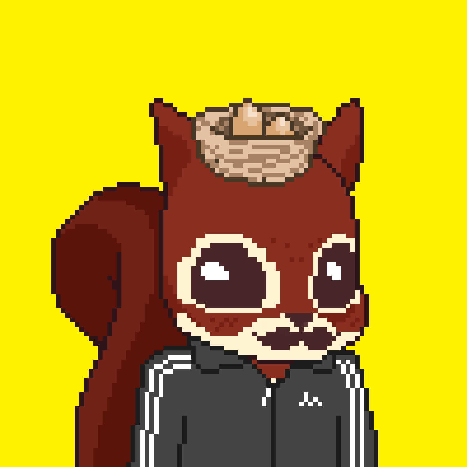 Pixel Squirrels #8105 NFT on Algorand