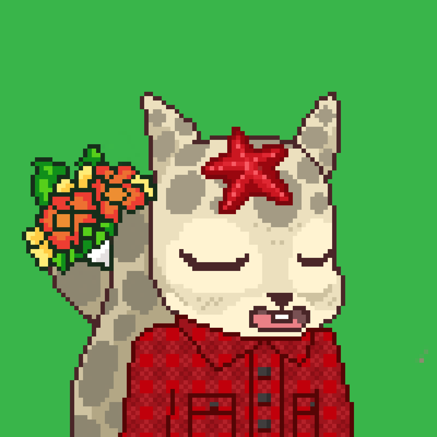 Pixel Squirrels #8197 NFT on Algorand