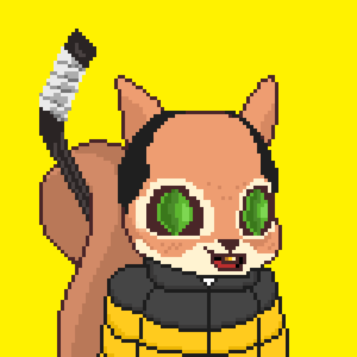 Pixel Squirrels #8804 NFT on Algorand