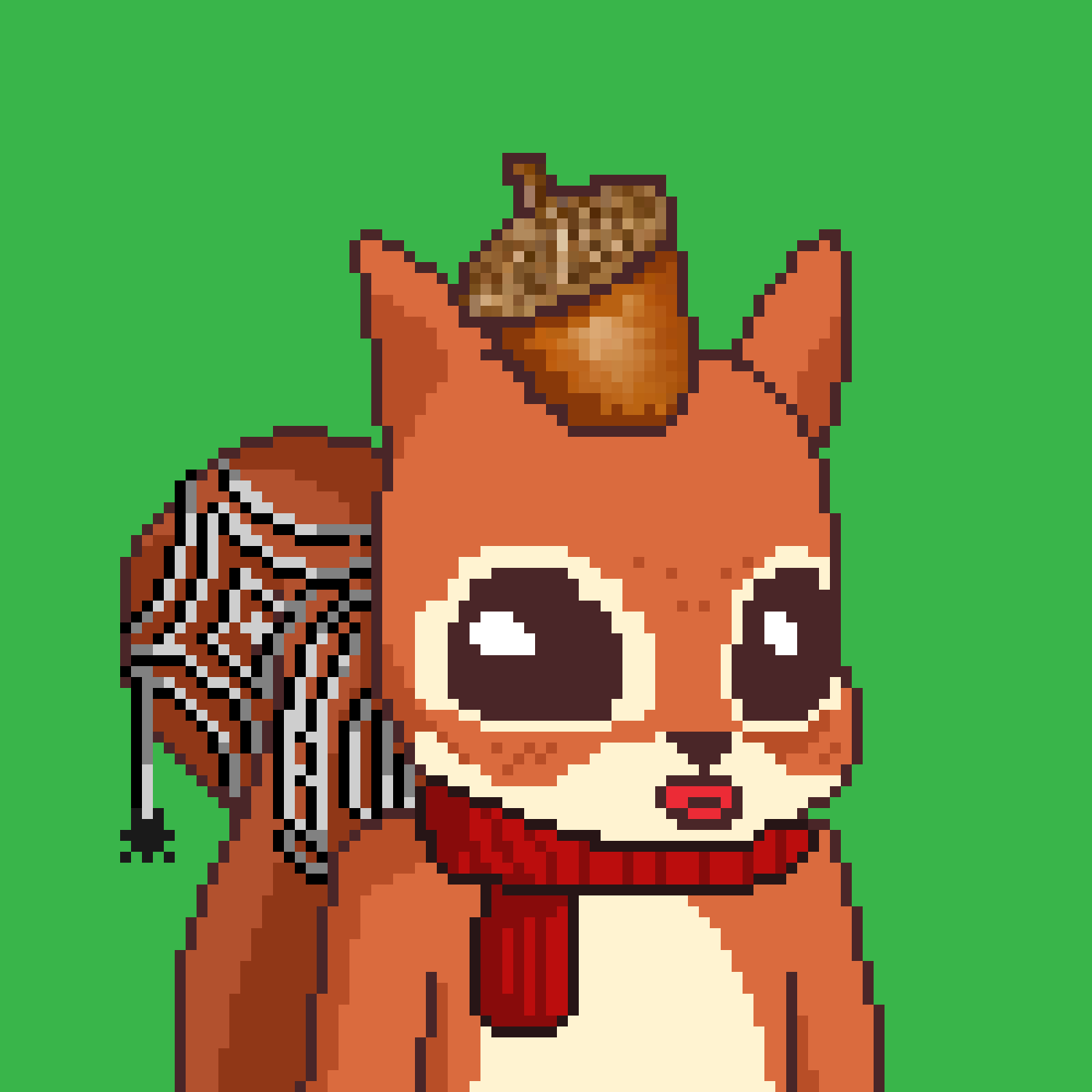 Pixel Squirrels #888 NFT on Algorand