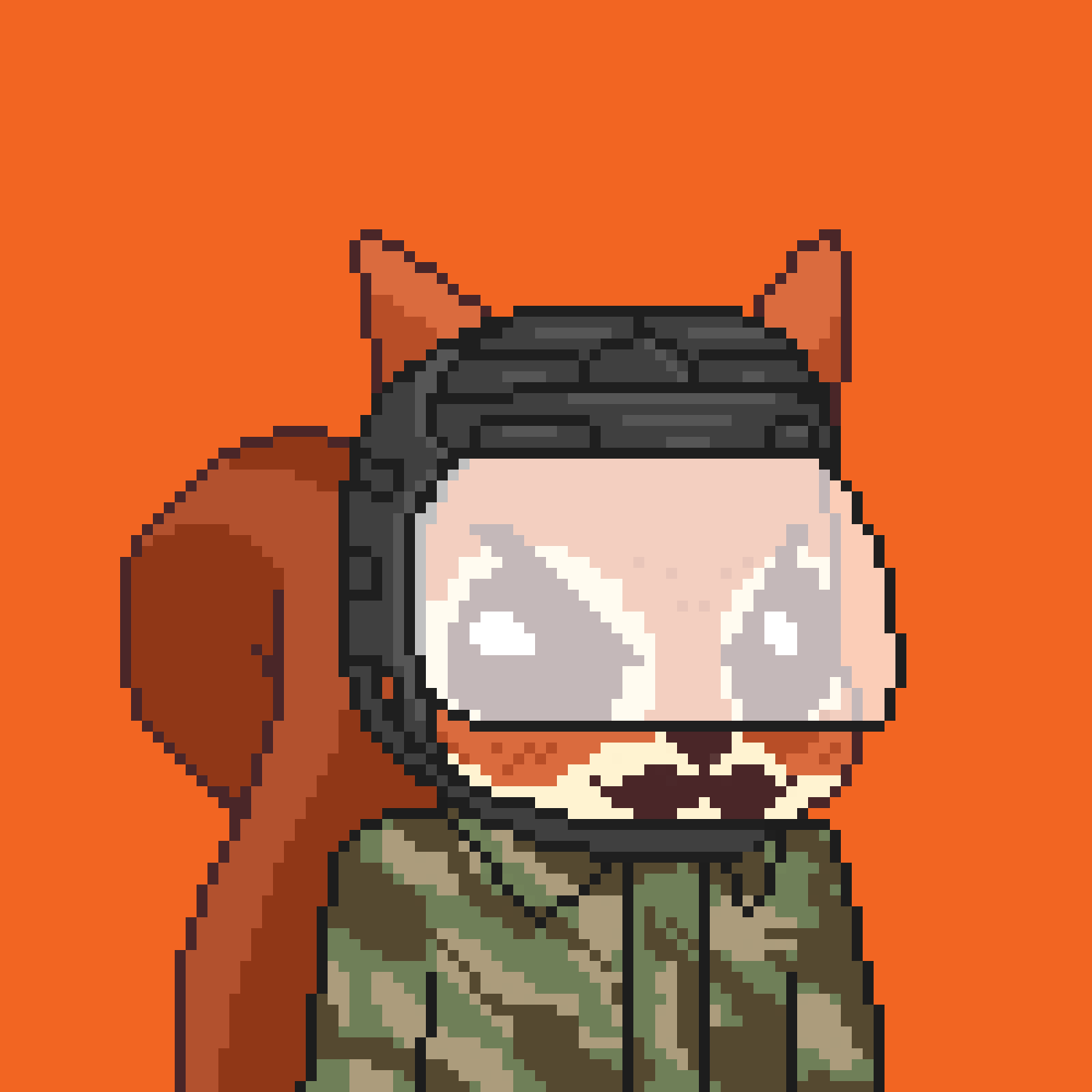 Pixel Squirrels #8984 NFT on Algorand