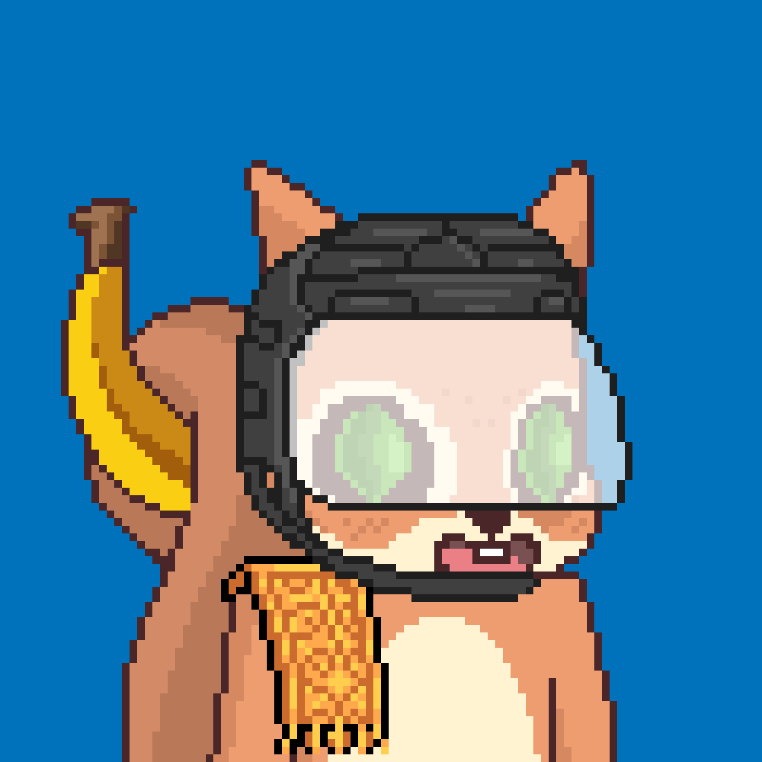 Pixel Squirrels #9000 NFT on Algorand