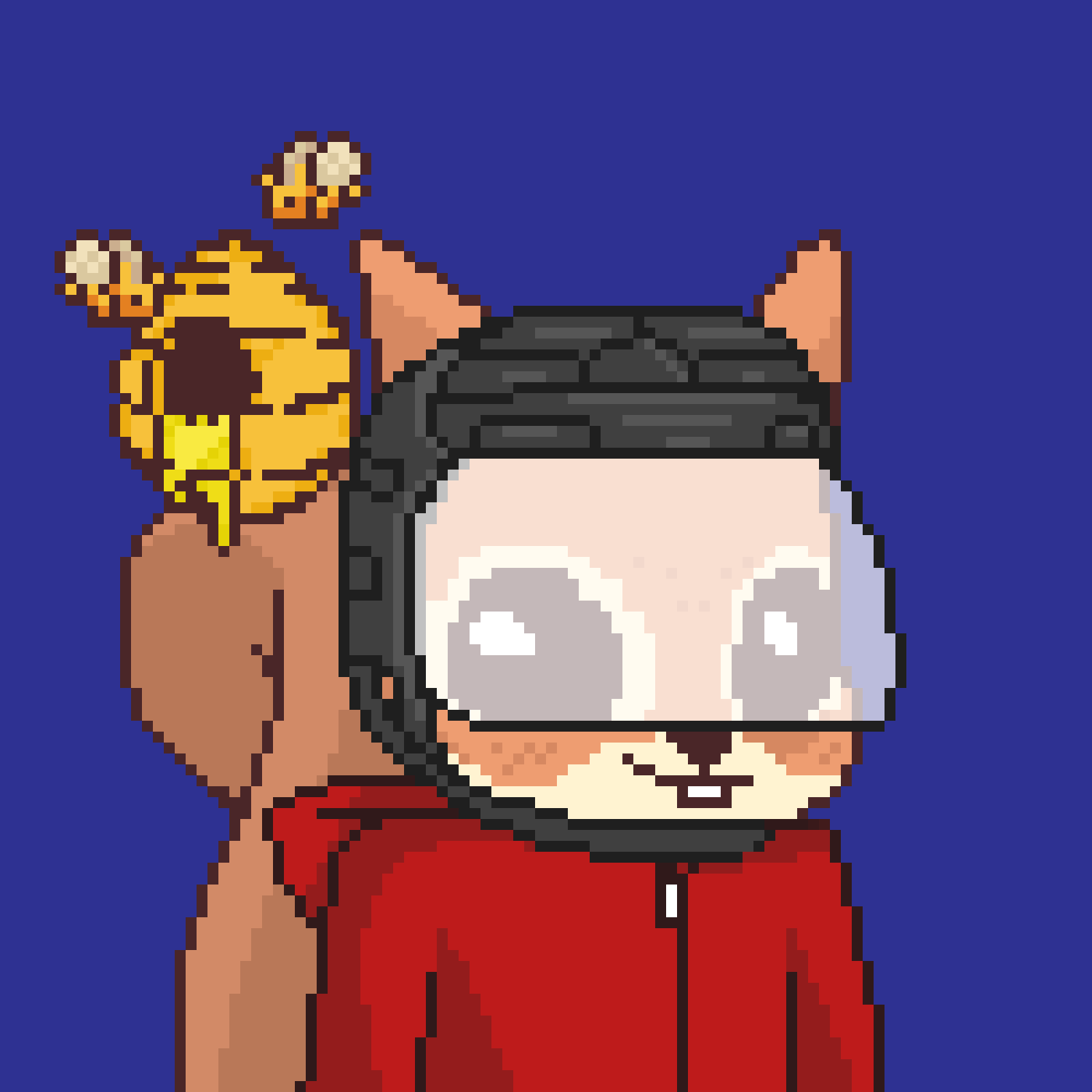 Pixel Squirrels #9044 NFT on Algorand