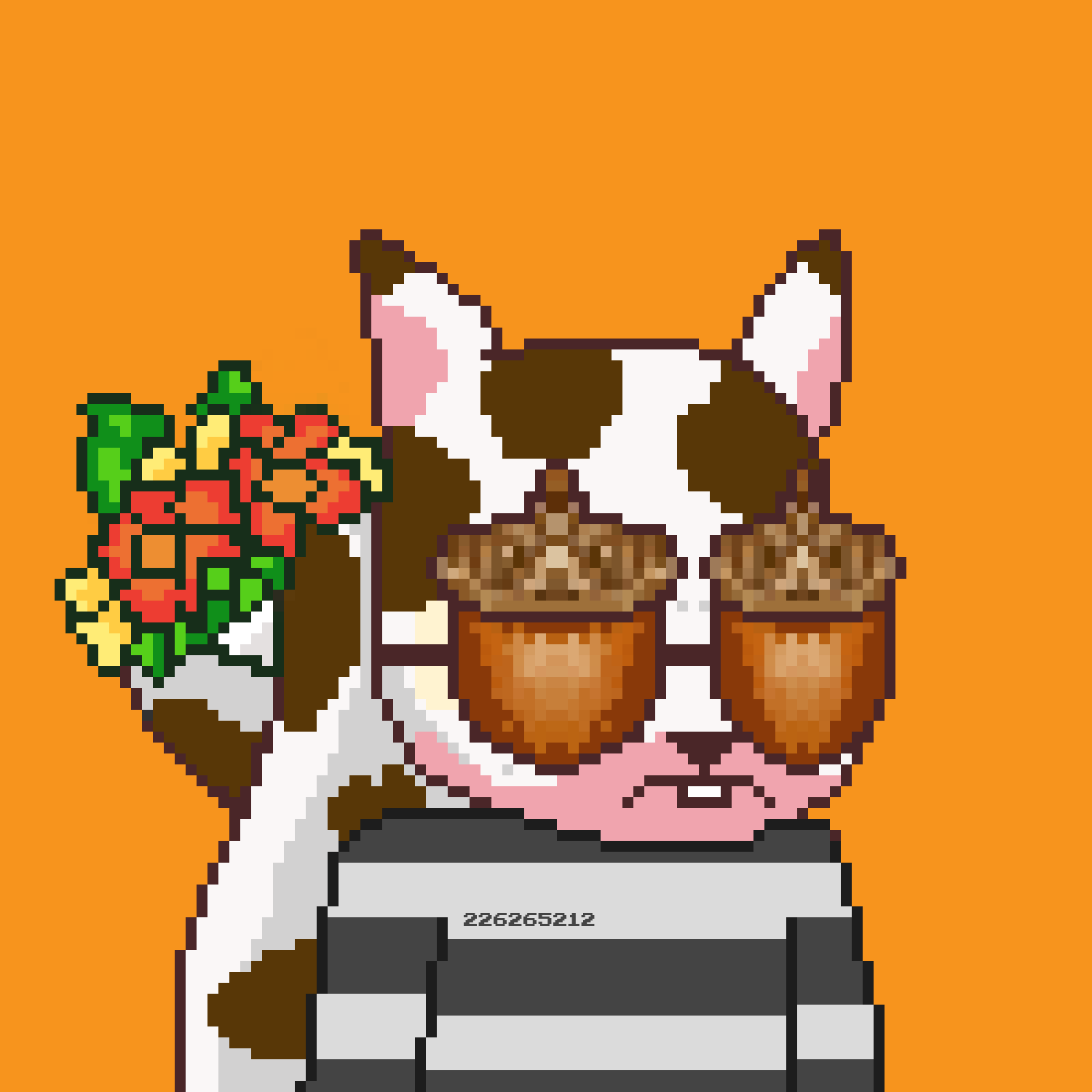 Pixel Squirrels #9147 NFT on Algorand