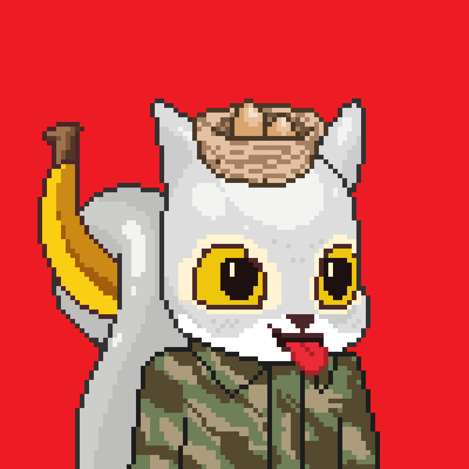 Pixel Squirrels #9636 NFT on Algorand