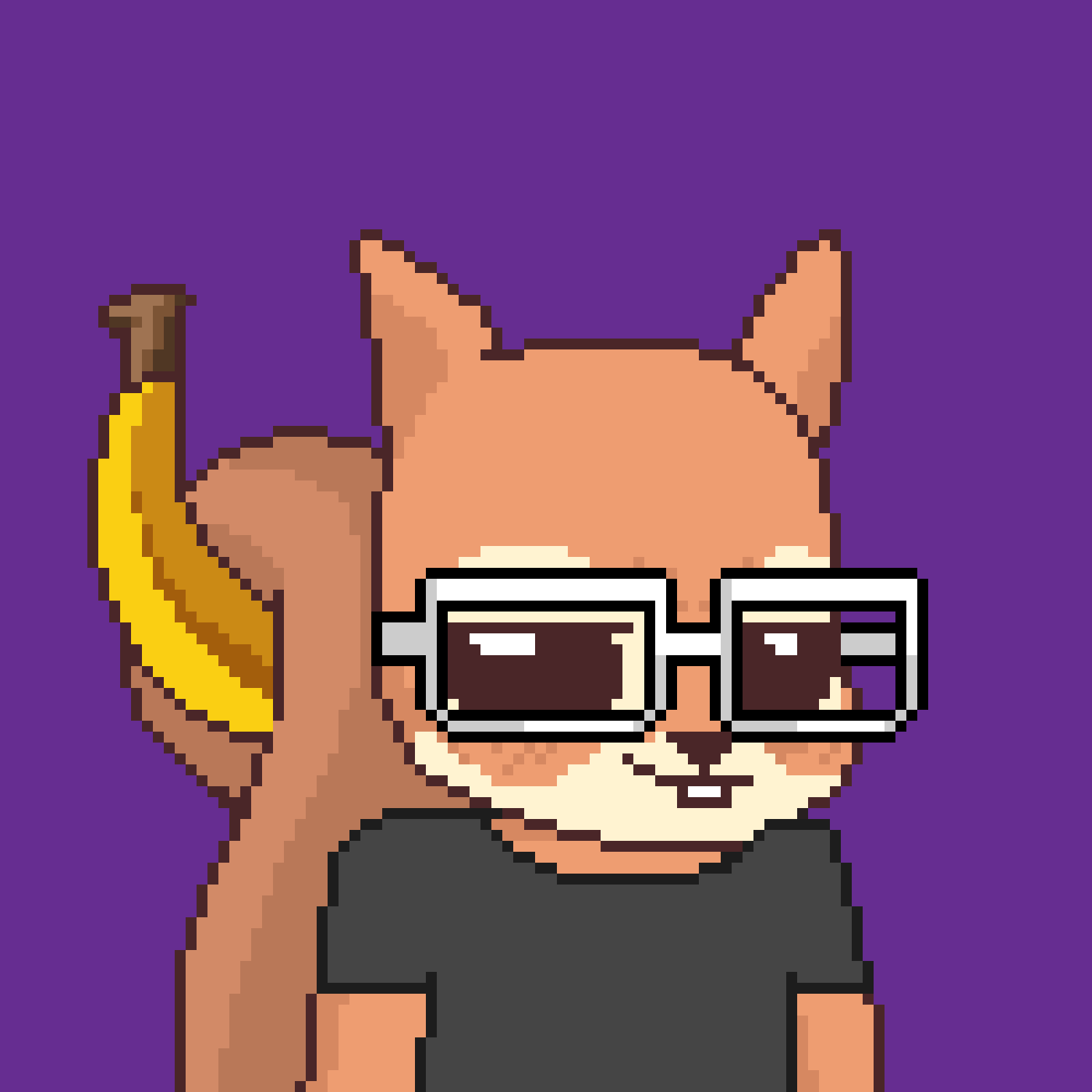 Pixel Squirrels #9697 NFT on Algorand