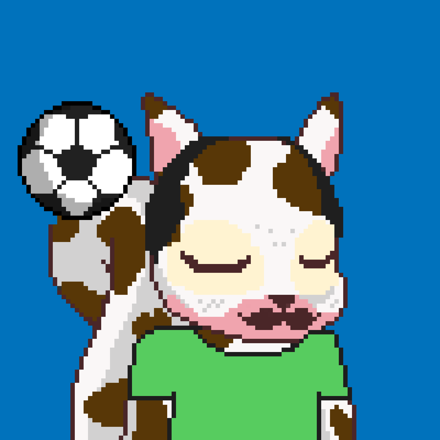 Pixel Squirrels #9841 NFT on Algorand