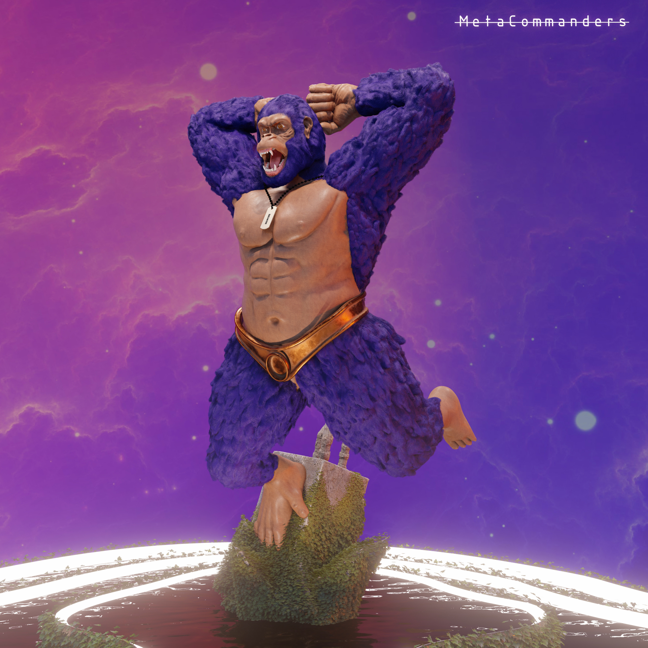 MetaCommander#14 NFT on Algorand