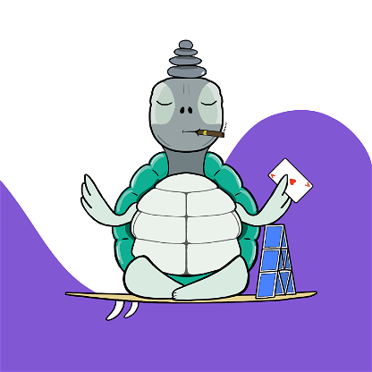 Zen Turtle 0152