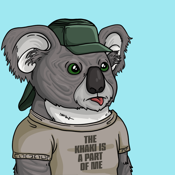 An image of Wildlife Warrior Koala #21