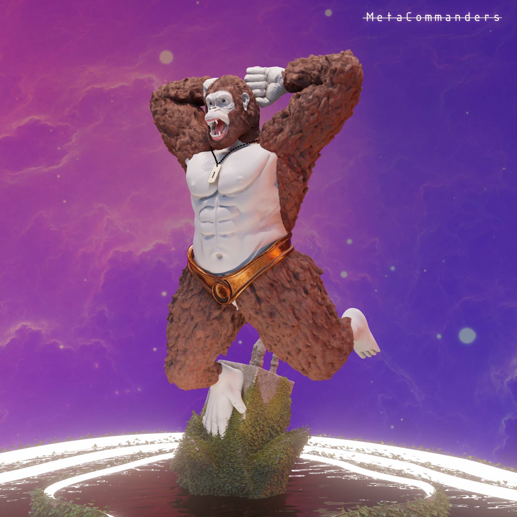 MetaCommander#13 NFT on Algorand