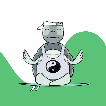 Zen Turtle 0146