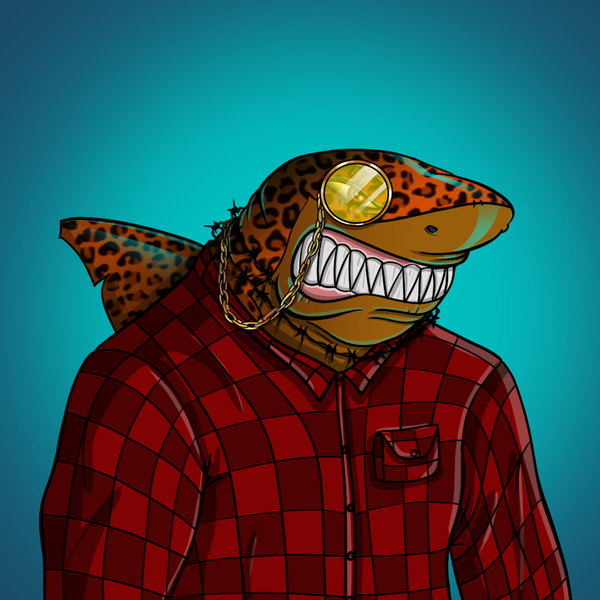 Image of AlgoShark #644