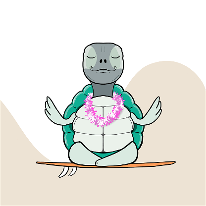 Zen Turtle 0192