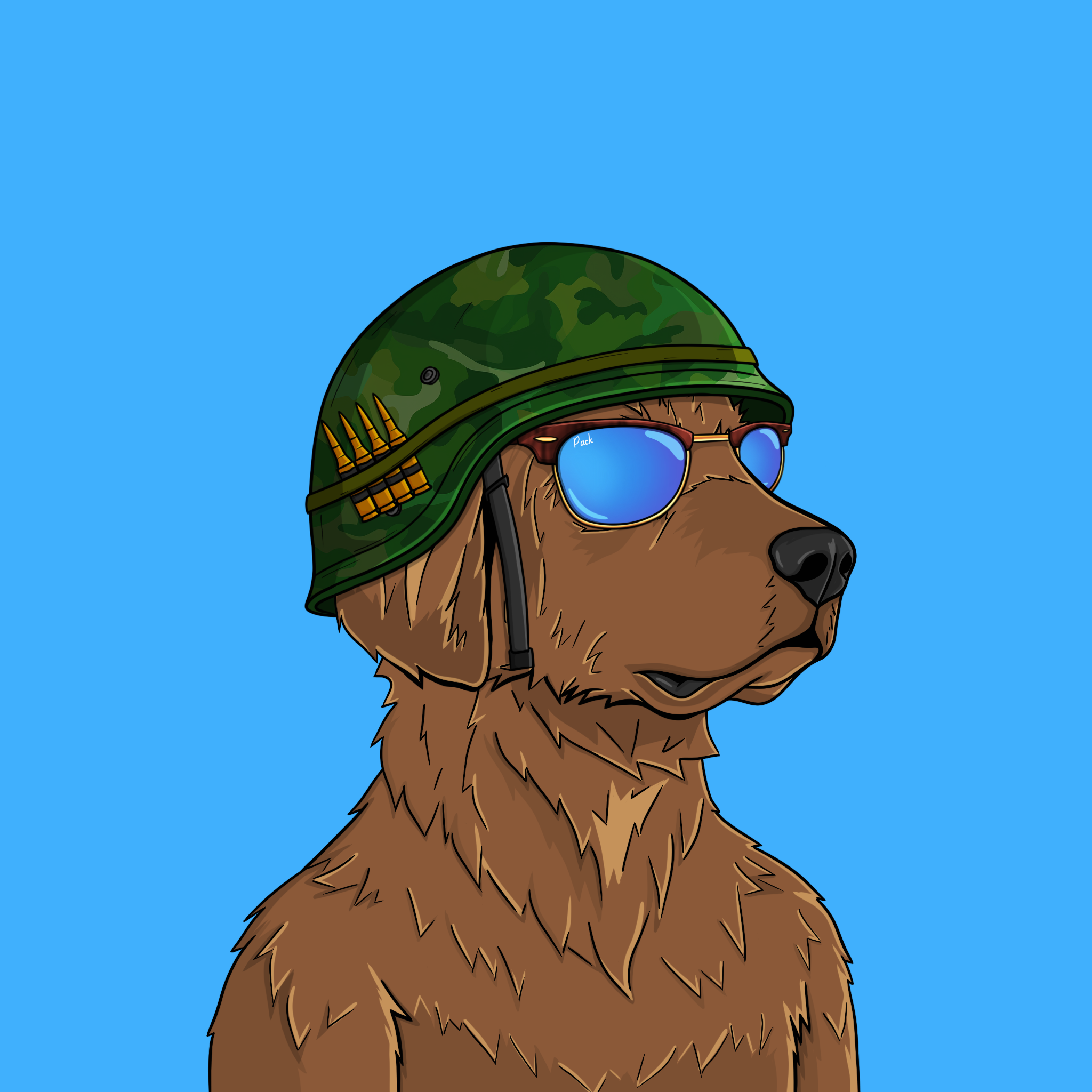 goodboi #0628 NFT on Algorand