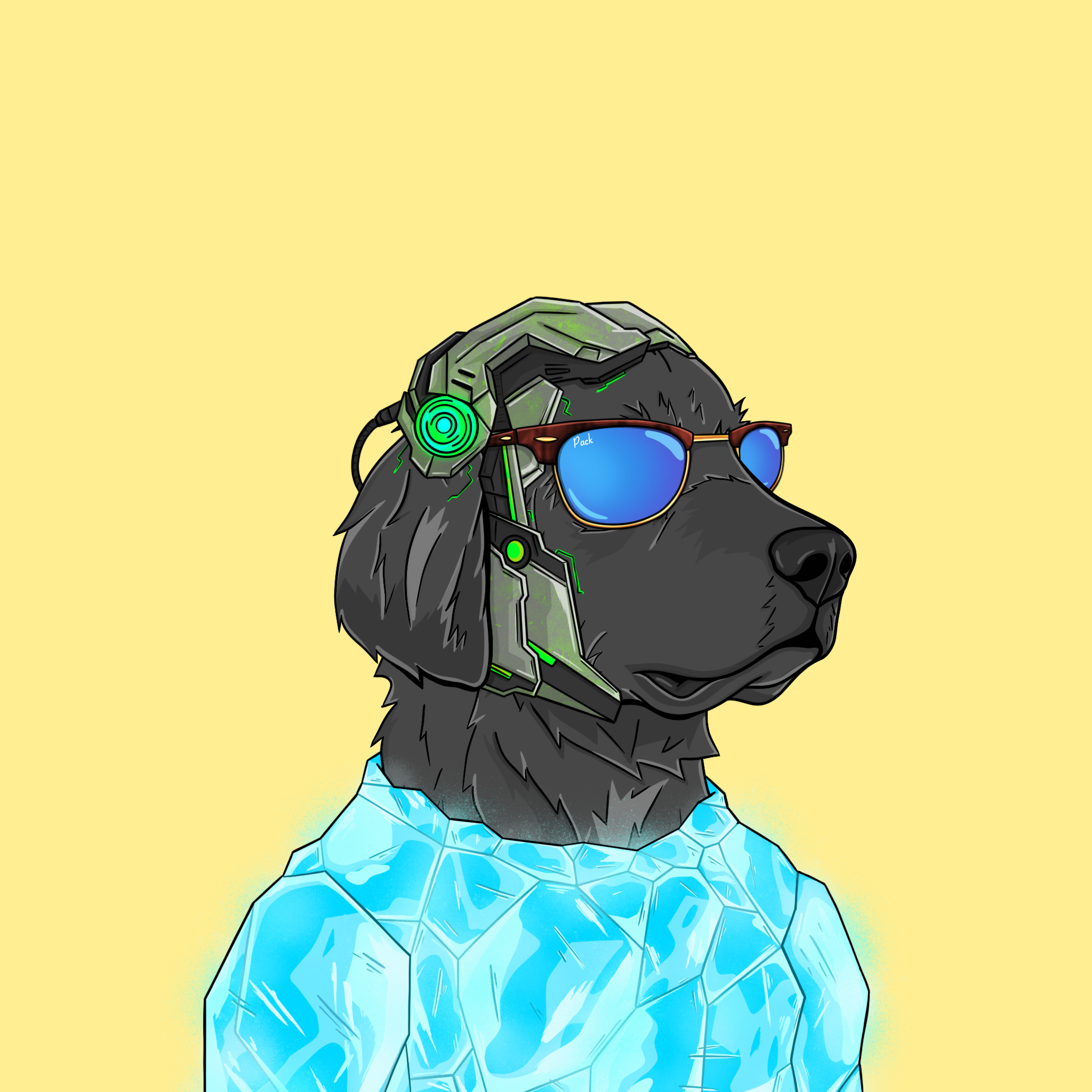 goodboi #0085 NFT on Algorand