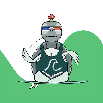 Zen Turtle 0159