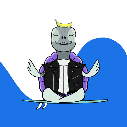Zen Turtle 0041