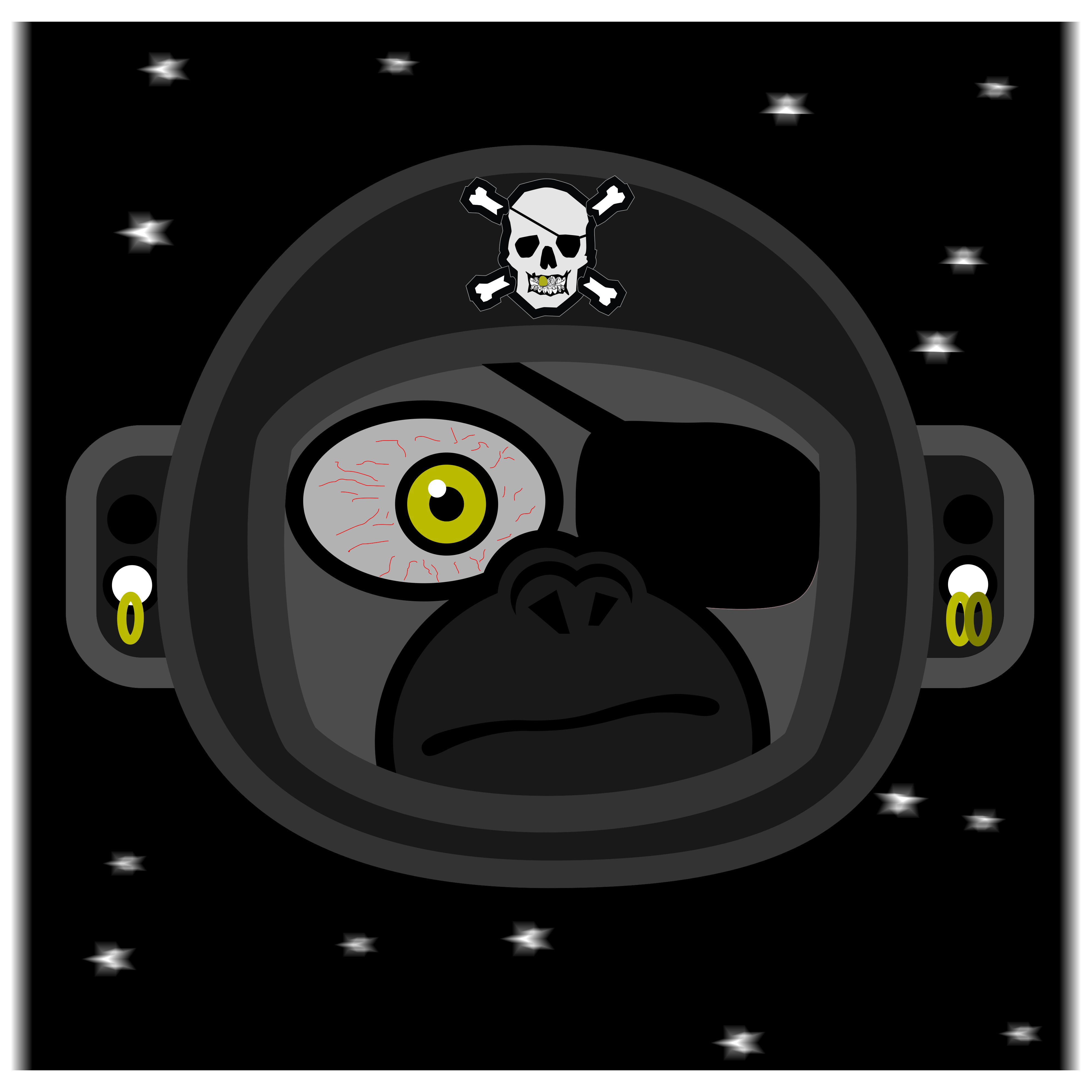 Special Space Monkey Pirate NFT on Algorand