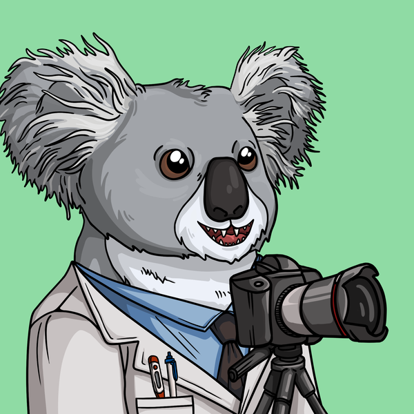 An image of Wildlife Warrior Koala #16