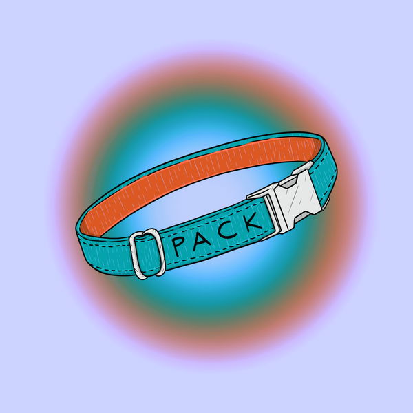 Image of Pack Collar