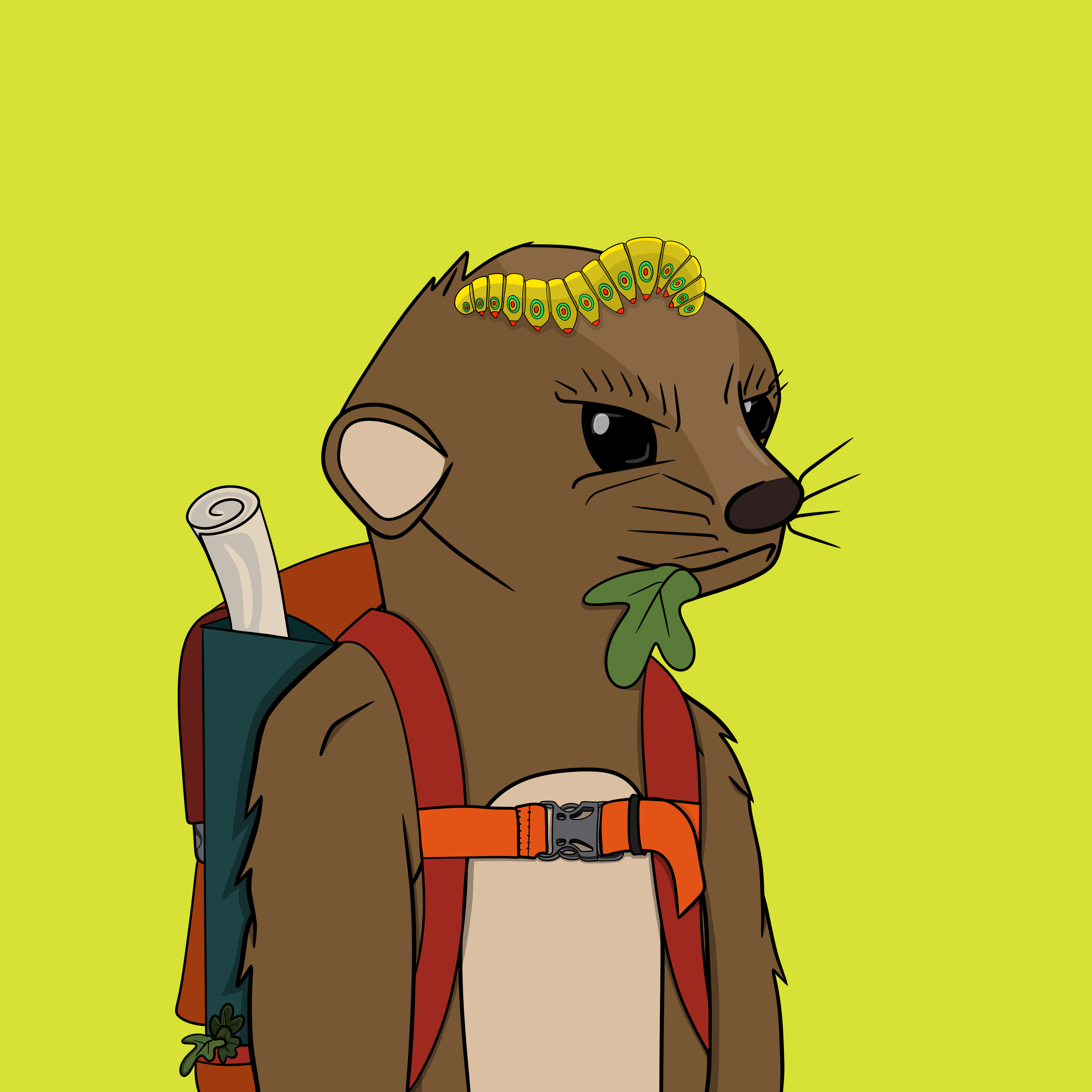 Lil Meerkat #081 NFT on Algorand