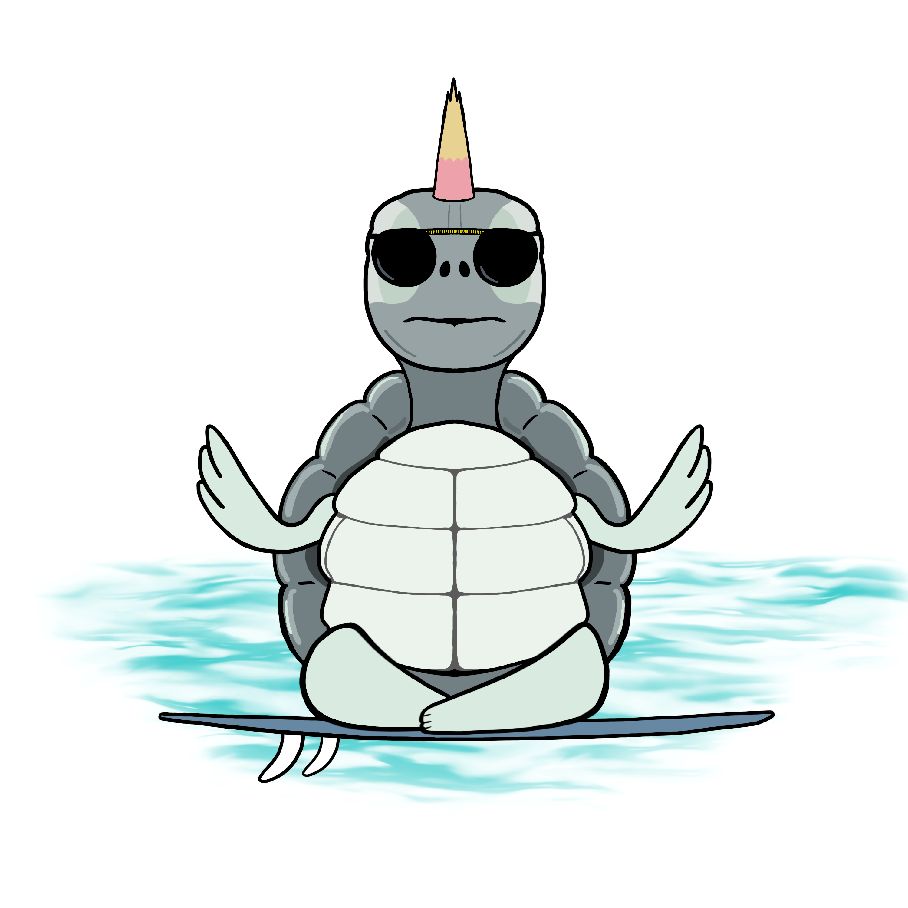 Zen Turtle 0107 NFT on Algorand