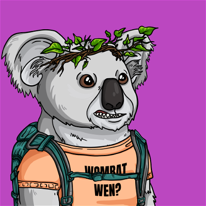 Wildlife Warrior Koala #492
