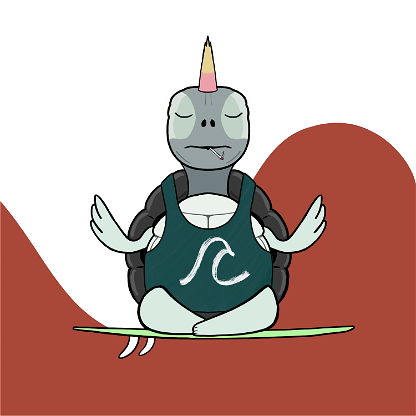 Zen Turtle 0047