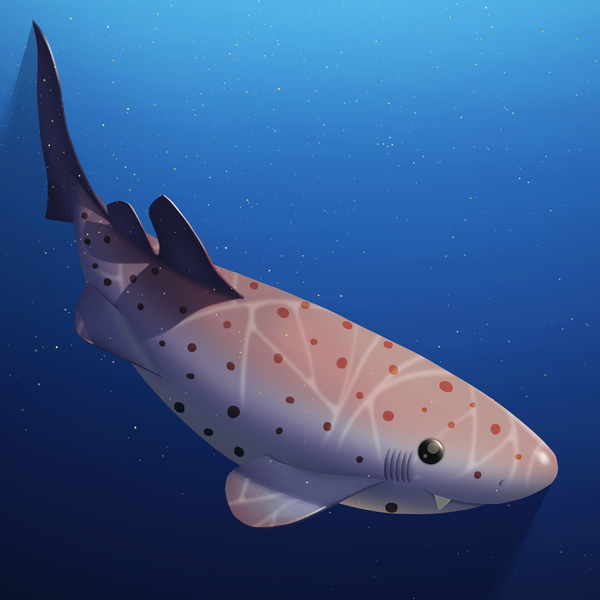 An image of AOShark 031