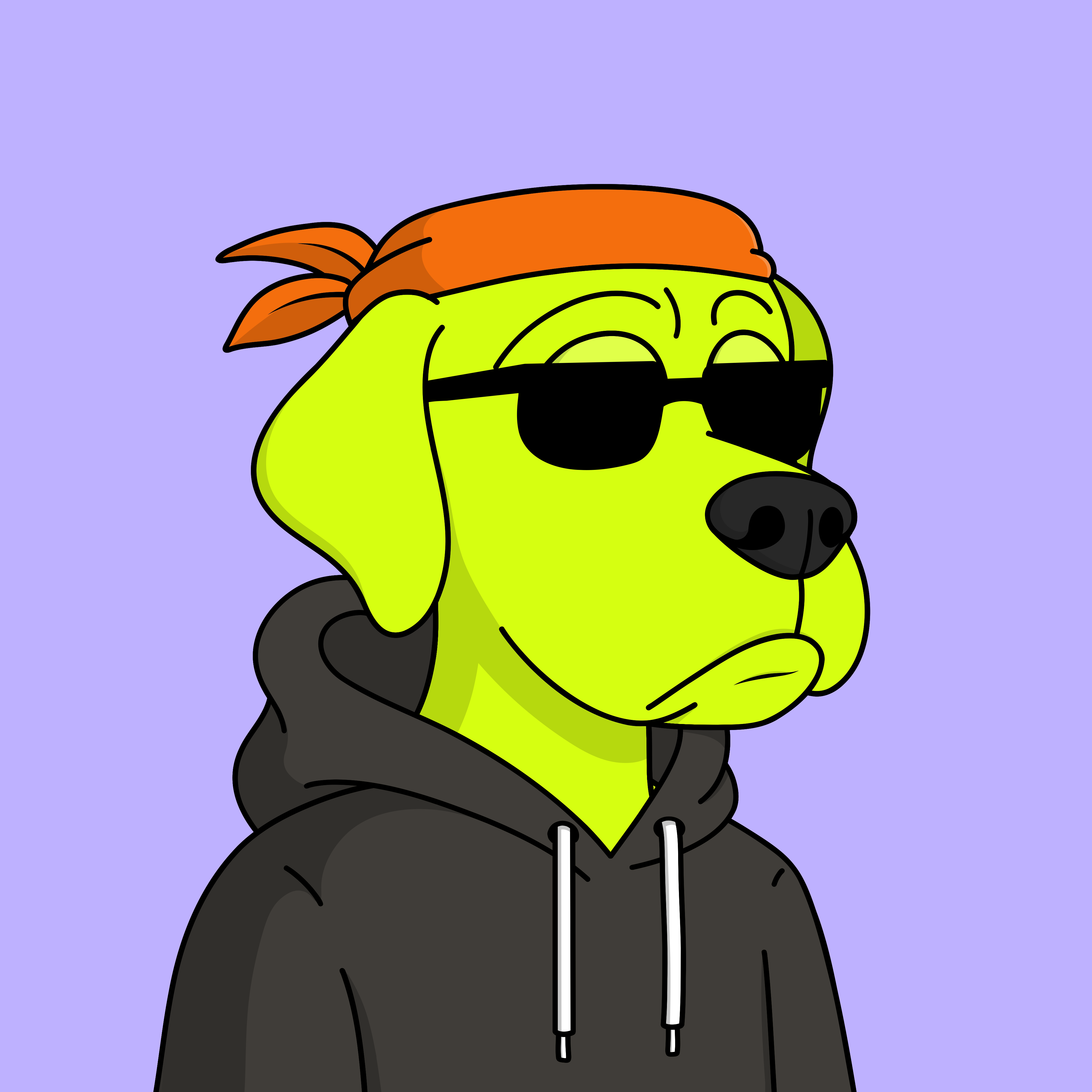 Dapper Dog 81 NFT on Algorand