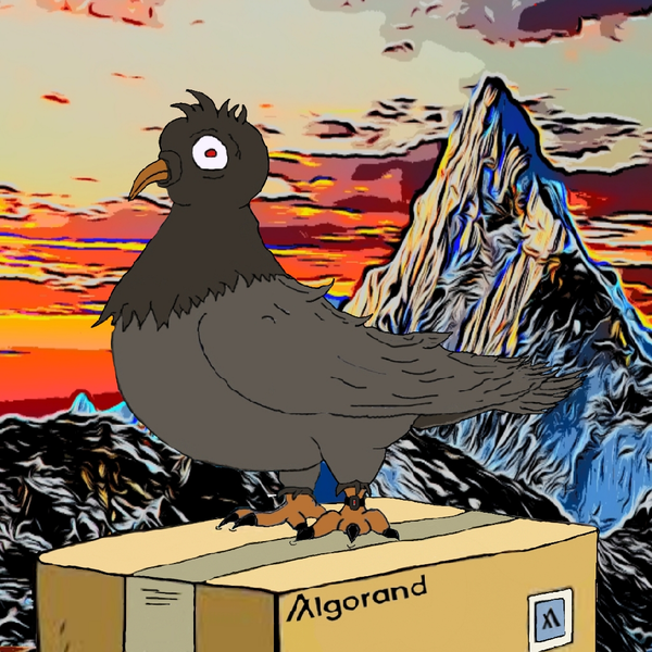 An image of GhettopigeonsNFT#14 Barry