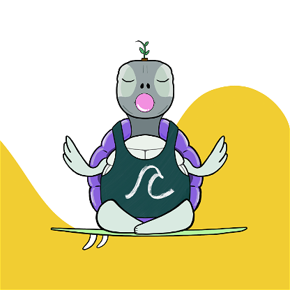 Zen Turtle 0076