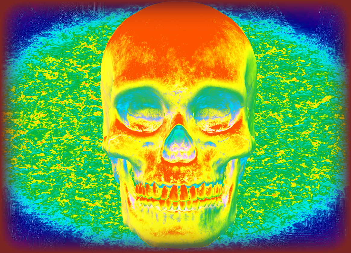 Skulls 010 NFT on Algorand