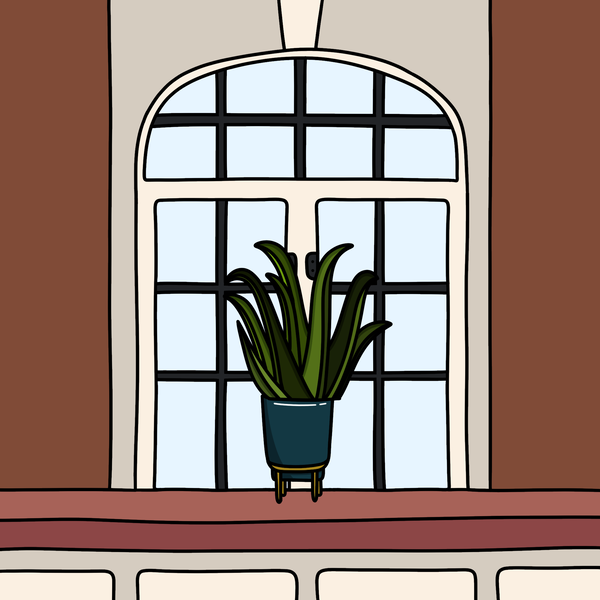 An image of Algo House Plant #0022