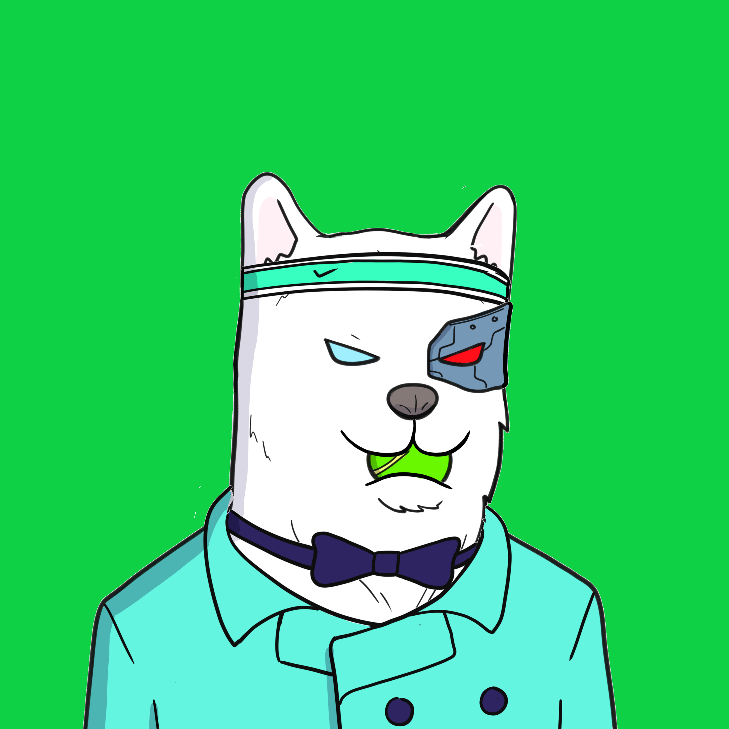 ALGORIAN DOGS #67 NFT on Algorand