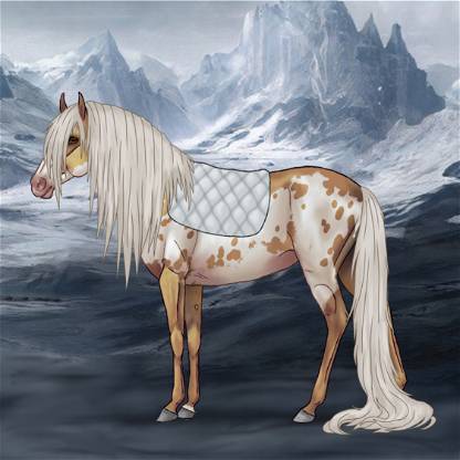 Algo Horse 4