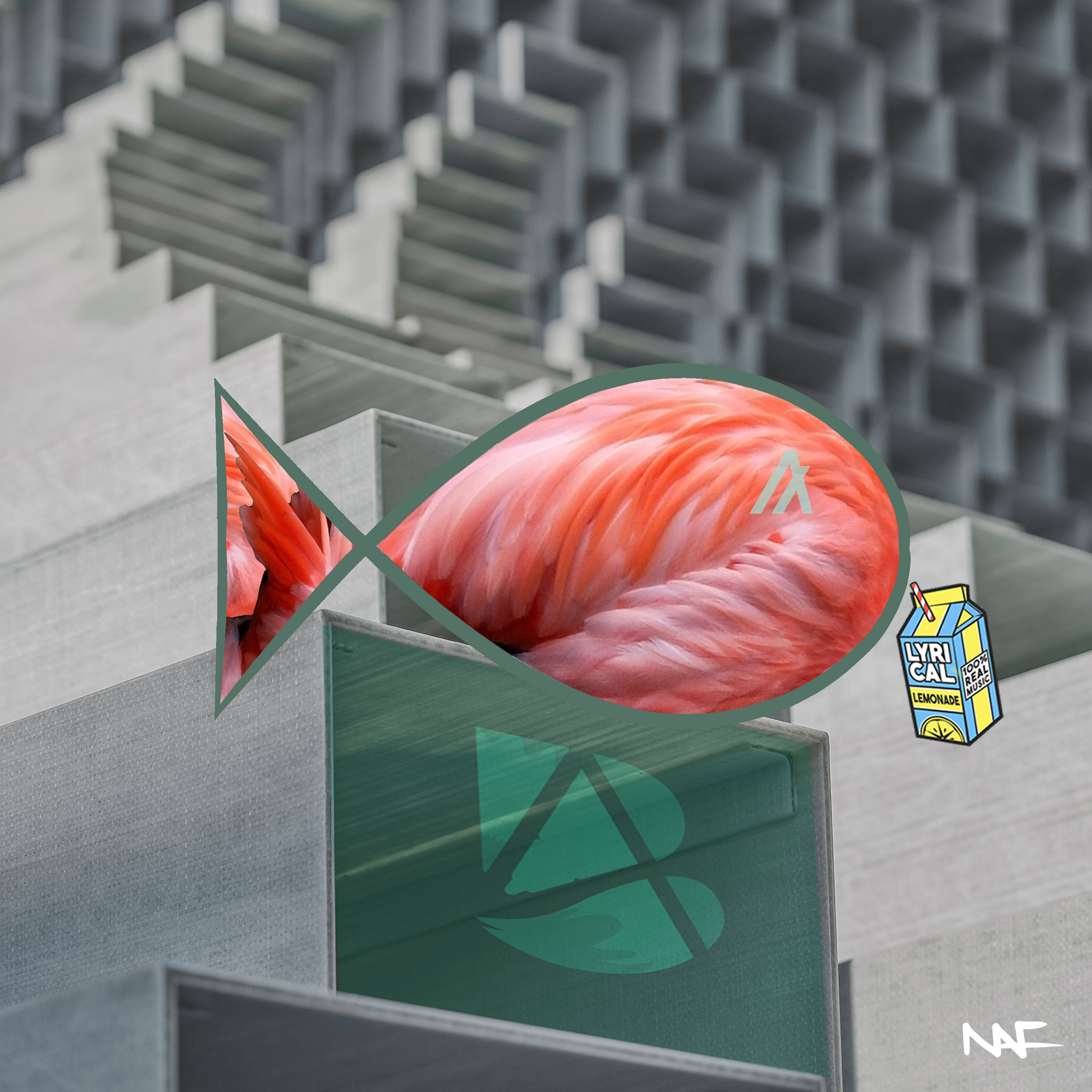NAF NotAFish  #077 NFT on Algorand