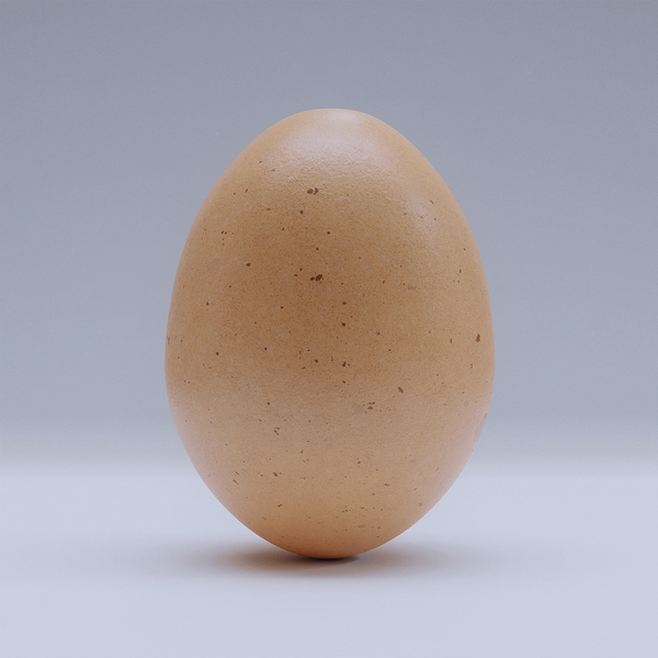 Image of Mystery Egg 1.0